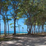 East coastline Mauritius