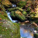 Triberg Waterfall Black Forrest Germany