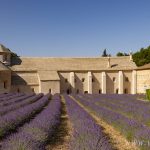 Abbaye Notre-Dame de Senanque – Gordes, France