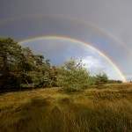 Rainbow above Hoog Soeren, Veluwe Holland