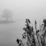 Fog above the river IJssel